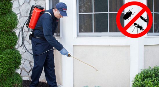 Dazkırı Karınca İlaçlama böcek ilaçlama ve haşere kontrolü — ilaclama-tr.com